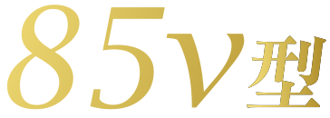 85v型